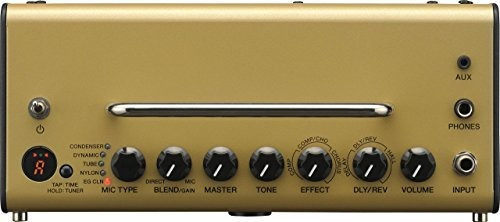 Mini Amplificador De Guitarra Acustica Yamaha Thr5 Con Softw