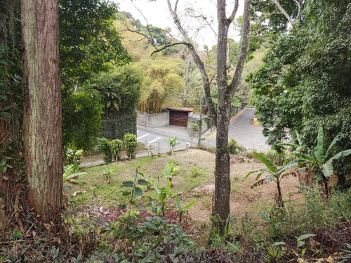 Imagen 3 de 8 de Venta Terreno 9.302m2 Los Guayabitos/baruta