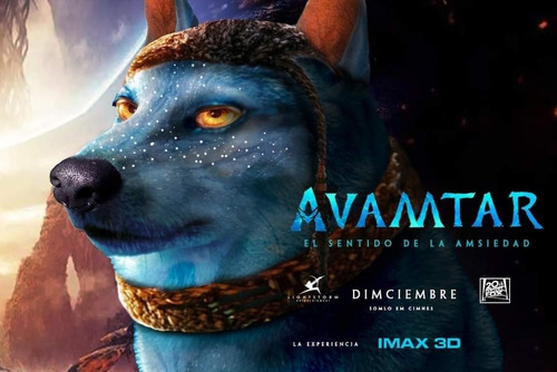 Cuadro Decorativo Dog Chems Cheems Meme Avatar Avamtar