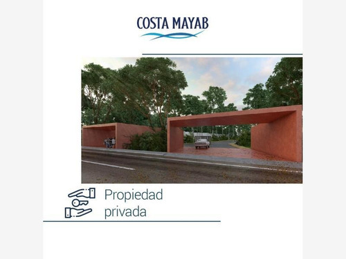 Imagen 6 de 10 de Terreno En Venta Chabihau