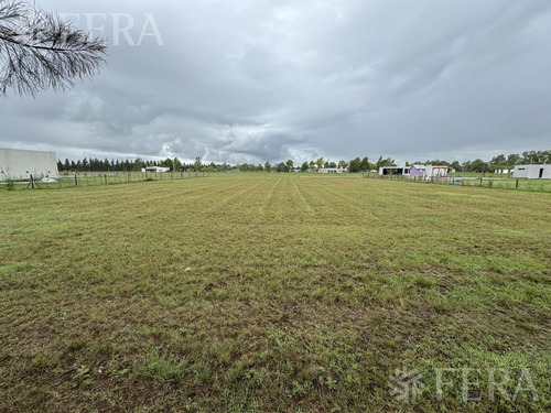 Venta De Terreno En Campos De Roca Ii