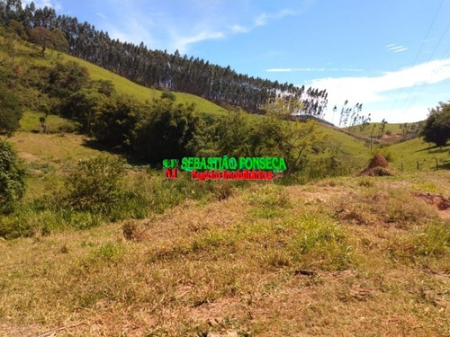 Imagem 3 de 15 de Sítio Dos Sonhos Em Paraibuna - 3.8 Alqueires - 1001