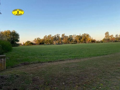Imagen 6 de 7 de 2766ml- Chacra 10.000 M2 Ubicacion Central