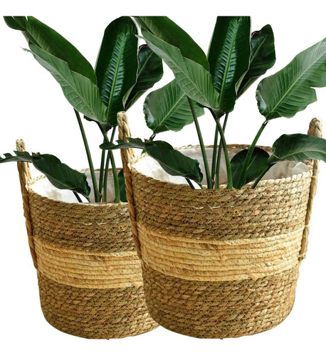 2 Vasos Rattan Cachepot Vime Boho Chic Grande Decoração Casa Cor Palha Trama