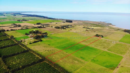 Imagen 6 de 8 de Colonia, Matamora - Lindo Campo, A Metros De La Plaza