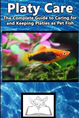Platy Care The Complete Guide To Caring For And Keeping Plat