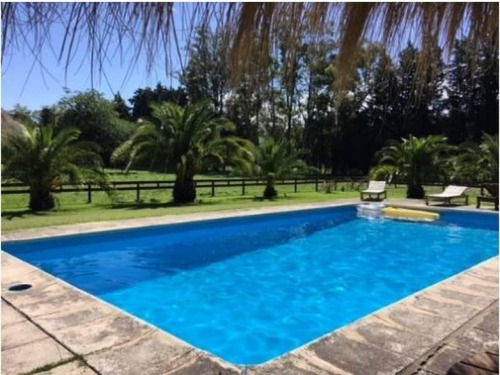 Imagen 6 de 22 de Campo Para Diversos Negocios