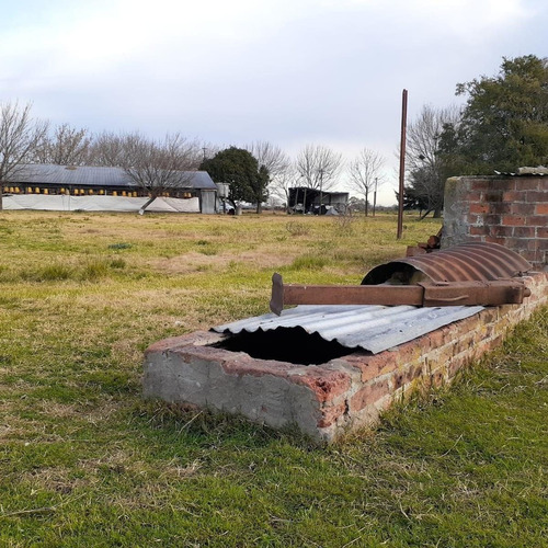 Imagen 10 de 12 de Granja Avícola Ganadera En Venta