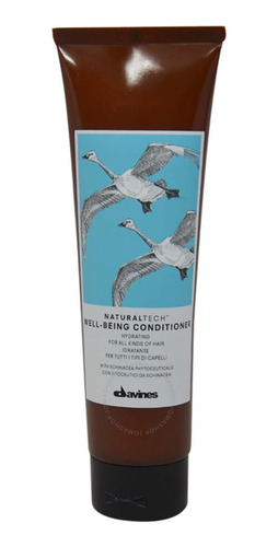Davines Well-being Conditioner Hidratante 150 Ml