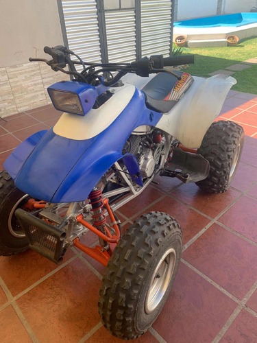 Imagen 8 de 17 de Honda Trx 250 X Japon