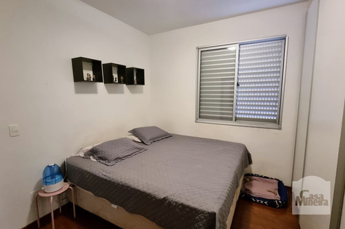Imagem 14 de 15 de Apartamento À Venda No Coração De Jesus - Código 376642 - 376642