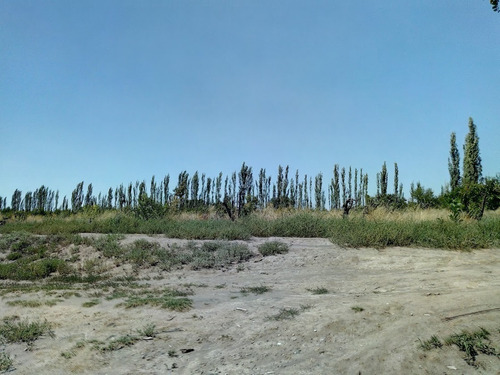 Imagen 25 de 25 de Venta De Finca 14 Ha En Producción - San Rafael Mendoza