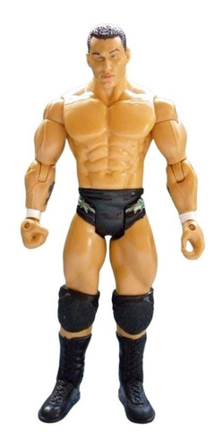 Figura Artículable De Colección Wwe Luchador Randy Orton