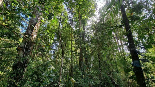 Parcela En Venta Lomas Del Mirador Puerto Varas
