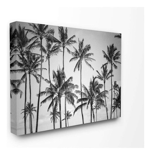 The Stupell Home Decor Collection Palm Trees Skyline Fotogra