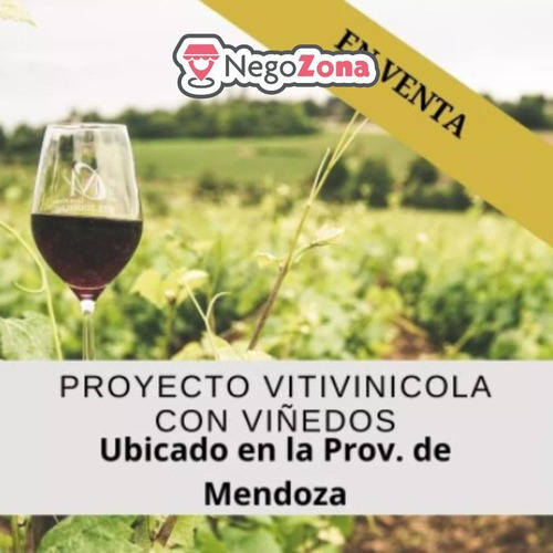 Imagen 1 de 1 de Fondo De Comercio - Proyecto Vitivinícola Con Viñedo - Rafaela