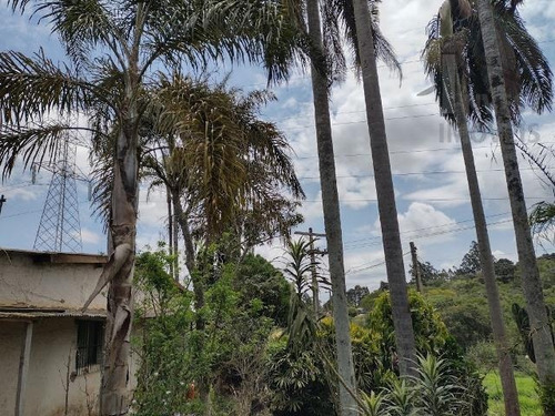 Imagem 1 de 15 de Cod-4956-ótima Chácara - 4956