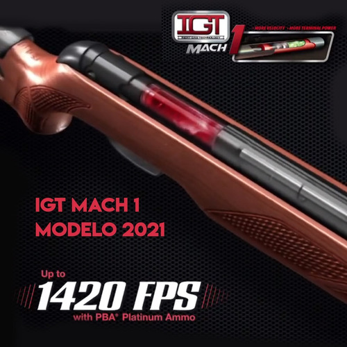 Imagen 6 de 10 de Rifle Aire Comprimido Gamo G Magnum 1250 5.5 Igt Mach Nitro