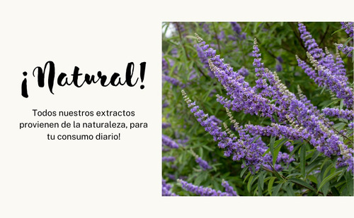 Vitex/sauzgatillo Triple Extracto Orgánico Ultra Concentrado Natural