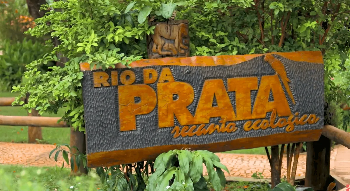 Aproveite o frete adicionando mais produtos no carrinho!