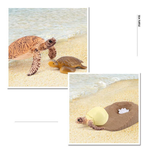Tortuga De Plástico Ciclo De Animal Tortuga Marina 2423