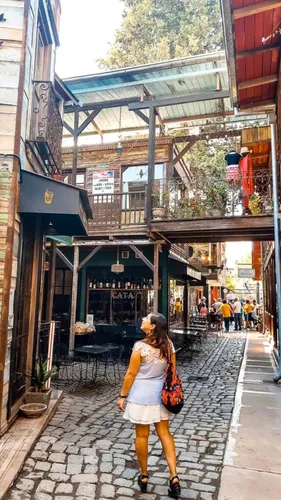 Tour Personalizado X Zona Norte Buenos Aires Tigre Nordelta