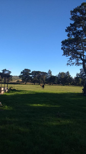 Campo En Venta Provincia De Buenos Aires Ruta 226