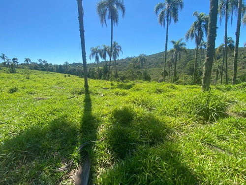 Imagem 2 de 2 de G.e01 Quem Investe Em Terra Não Erra!