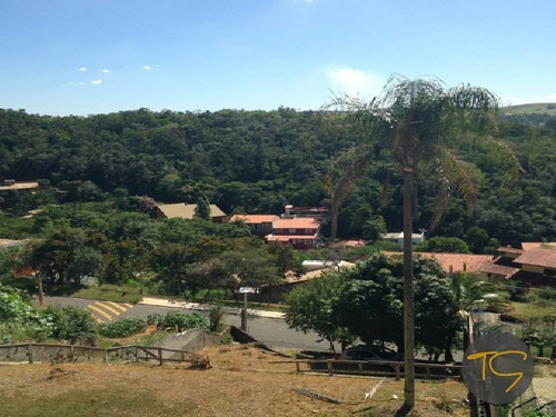 Imagem 6 de 9 de Terreno - Te00172 - 4688236