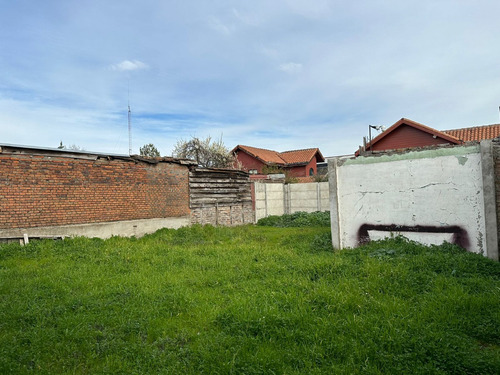 Vendo Terreno 482 M² Con Casa A 120 Mts De Av. Argentina