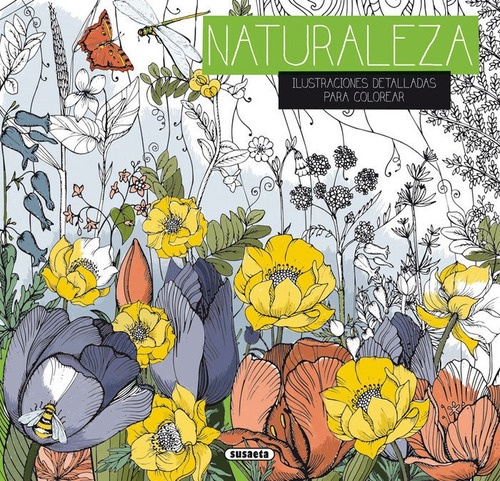 Libro Naturaleza Ilustraciones Detalladas Para Colorear