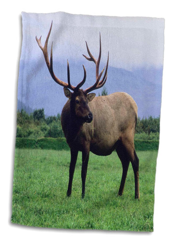 Toalla De Mano 3d Rose Two Elk Bulls Grazing In A Meadow Wil