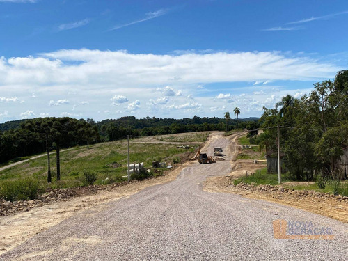 Imagem 2 de 11 de Terreno À Venda, 327 M² Por R$ 105.000,00 - Nossa Senhora Das Graças - Caxias Do Sul/rs - Te0244