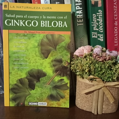 Ginkgo Biloba