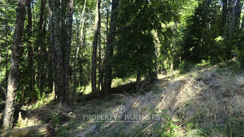 Lindo Terreno En Reserva Biológica Huilo Huilo