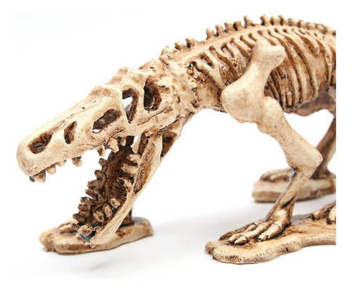 Zh Sroje B Ornament Aquarium Of Dinosaur Skeleton Aquarium