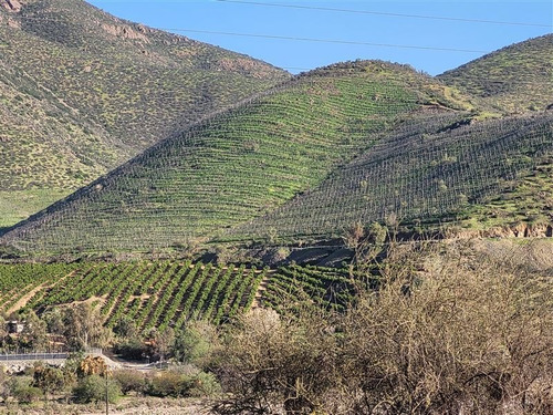 Imagen 5 de 15 de Agrícola En Venta En Monte Patria