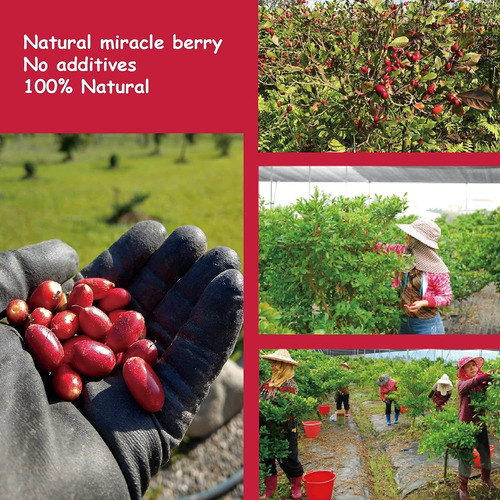 ¡oh! Berry Miracle Berry Los 15, Magic Berries Cambia El Sab