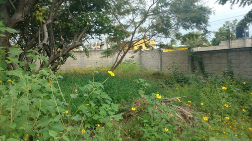 Imagen 7 de 9 de Venta Terreno Alta Palmira Temixco, Mor.