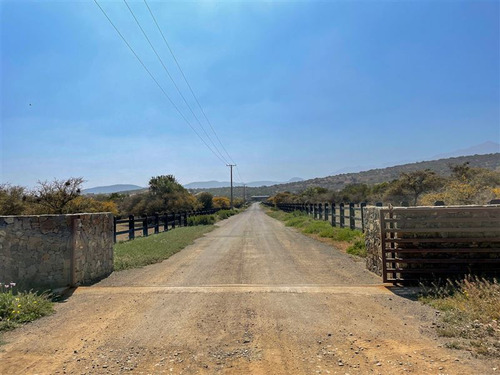 Imagen 7 de 29 de Sitio En 3 Has En Venta - Catapílco, Zapallar