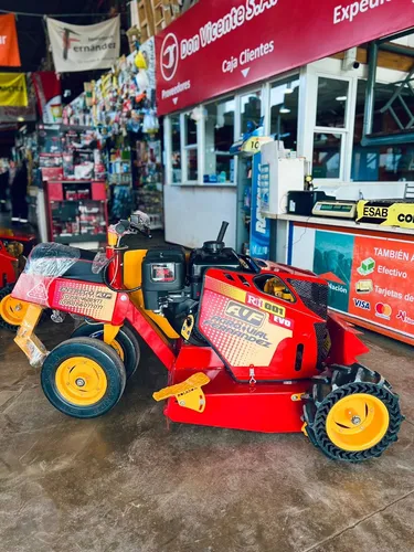Motocortadora De Césped, Malezas Modelo Evo Motor B&s A/m
