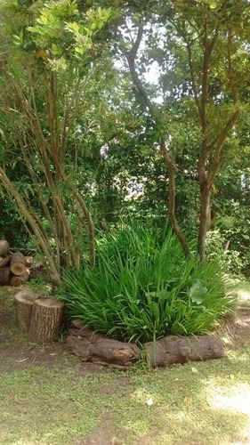 Casa Quinta A Reciclar