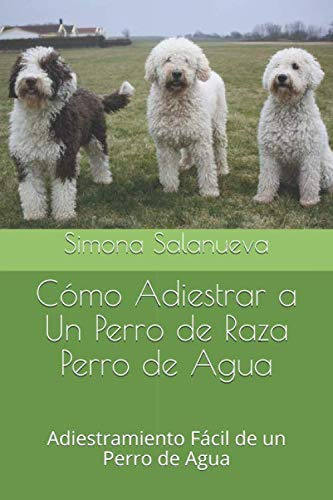 Como Adiestrar A Un Perro De Raza Perro De Agua: Adiestramie