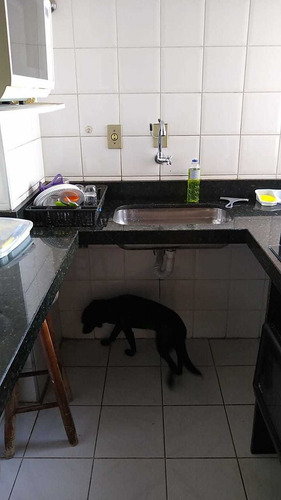 Imagem 13 de 22 de Apartamento Em São Paulo - Sp - Ap0134_slima