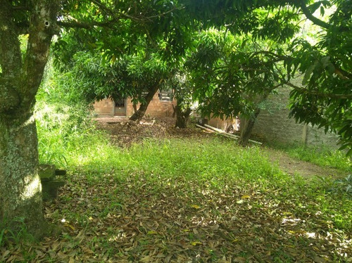 Imagem 6 de 15 de Casa - Lageado - Ref: 402365 - V-mi17326