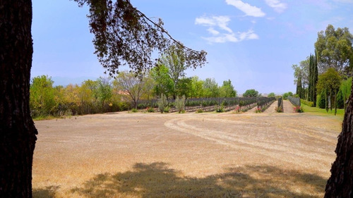 Terreno En Venta En San Miguel De Allende | Exclusividad Y Naturaleza