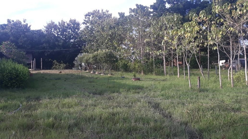 Imagen 11 de 14 de Terreno En Venta En San Fernando De Apure