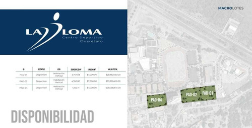 Macrolotes En La Loma