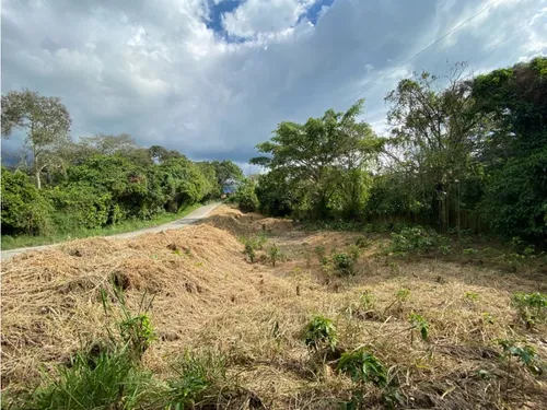 Lote En Venta Calarca- Vereda La Bella