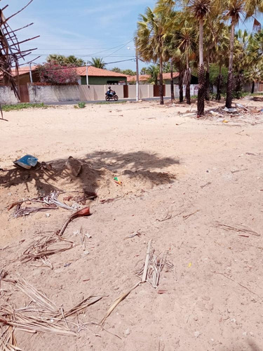 Imagem 8 de 10 de Terreno A Venda Para Construir Sua Casa Na Praia De Luis Correia Pi - Tr19620v_10